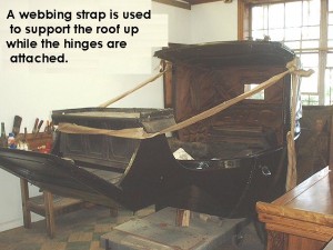 Roof suported by webbing