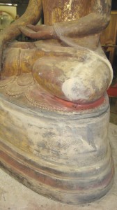 X - Organic Fillers (13)